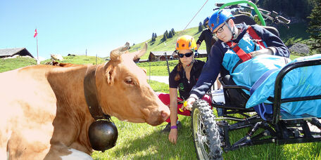 25 Mal 100 Franken für die Stiftung Wunderlampe